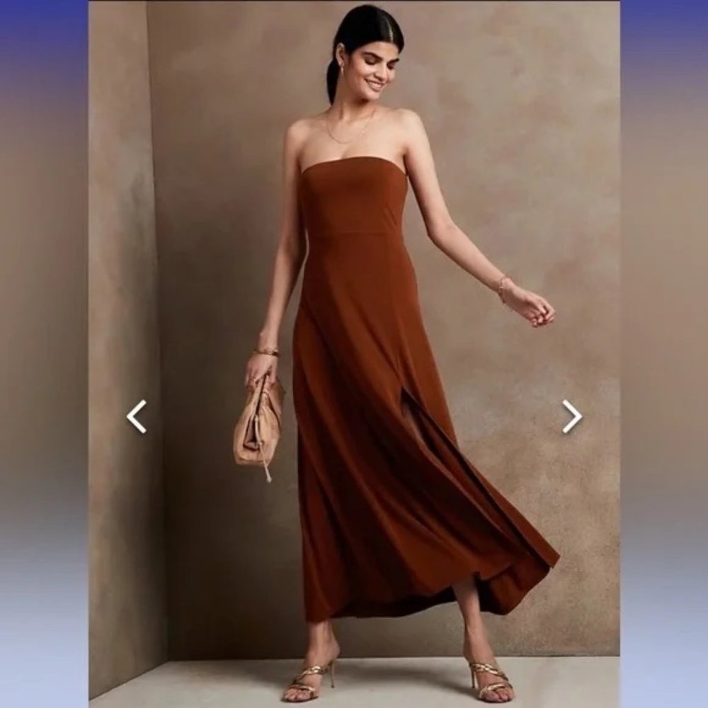 Banana Republic Factory Tube Maxi Dress in Nouveau Rust Size Large L